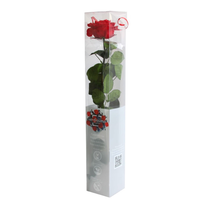 Rose éternelle tigée Premium et gift box - 4 coloris