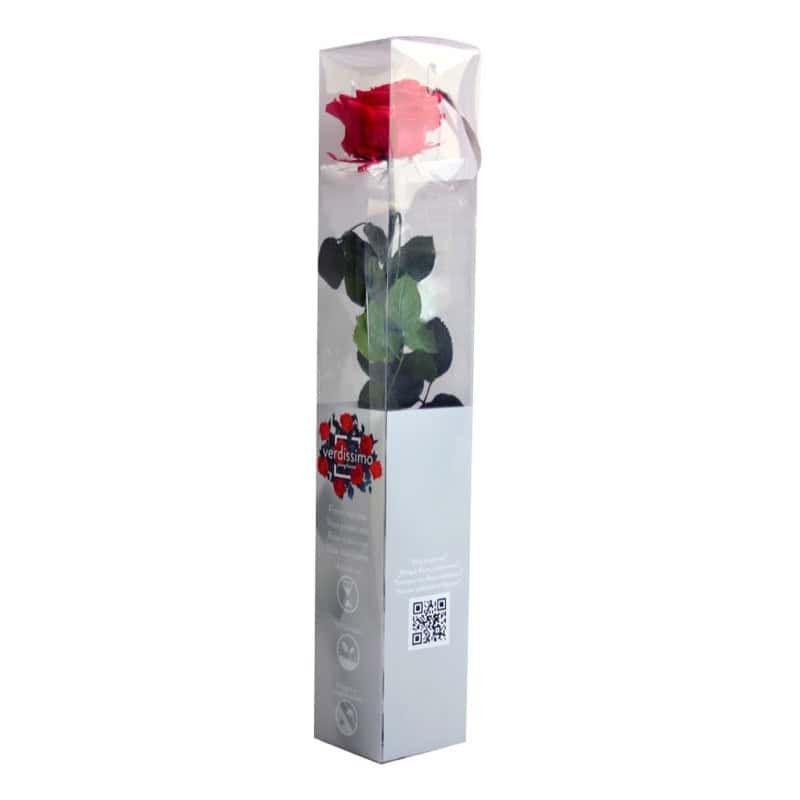 Rose éternelle tigée Premium et gift box - 4 coloris