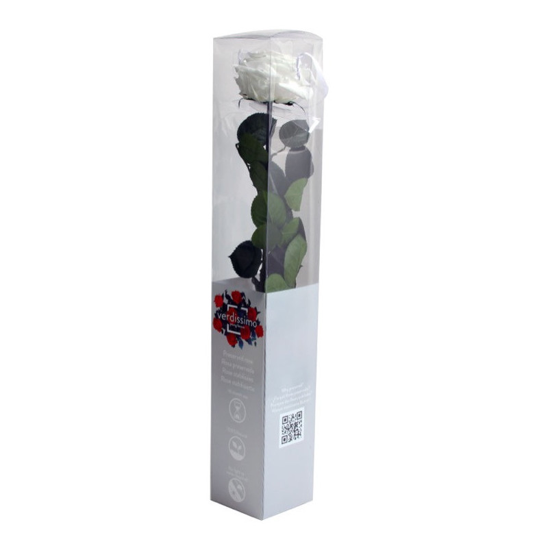 Rose éternelle tigée Premium et gift box plusieurs couleurs