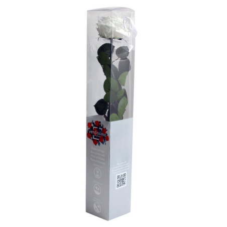 Rose éternelle tigée Premium et gift box plusieurs couleurs
