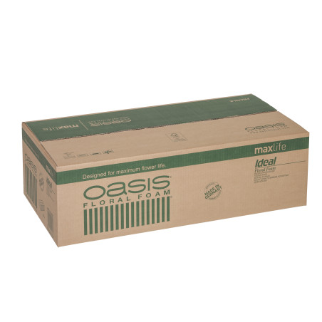 mousse floral Oasis pour composition florale