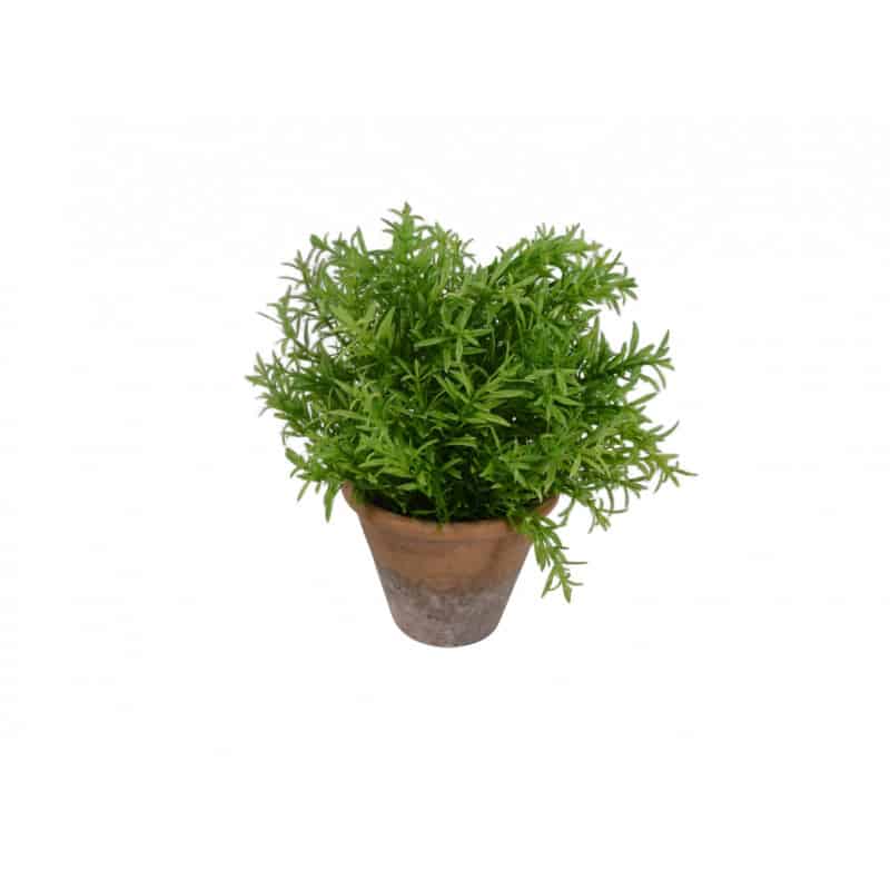 Rosemary artificielle en cache-pot - Grossiste fleuriste