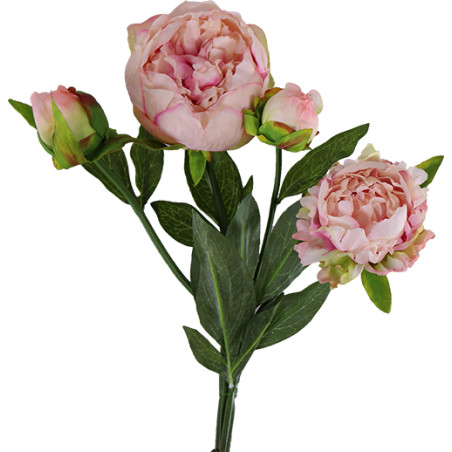 Pivoine 2 fleurs et 1 bouton 51 cm