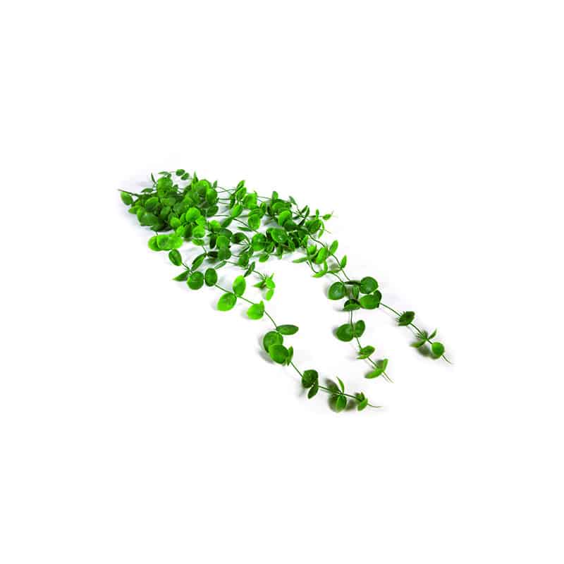 Chute Populus 98cm Chute Populus 98cm