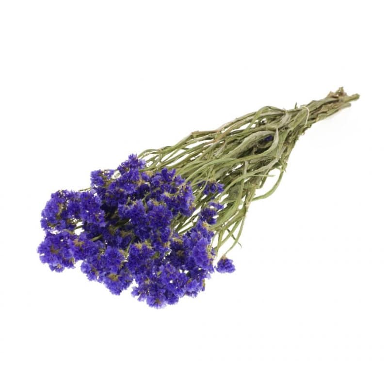 Botte de statice sinuata séchée Etta - Grossiste fleurs séchées