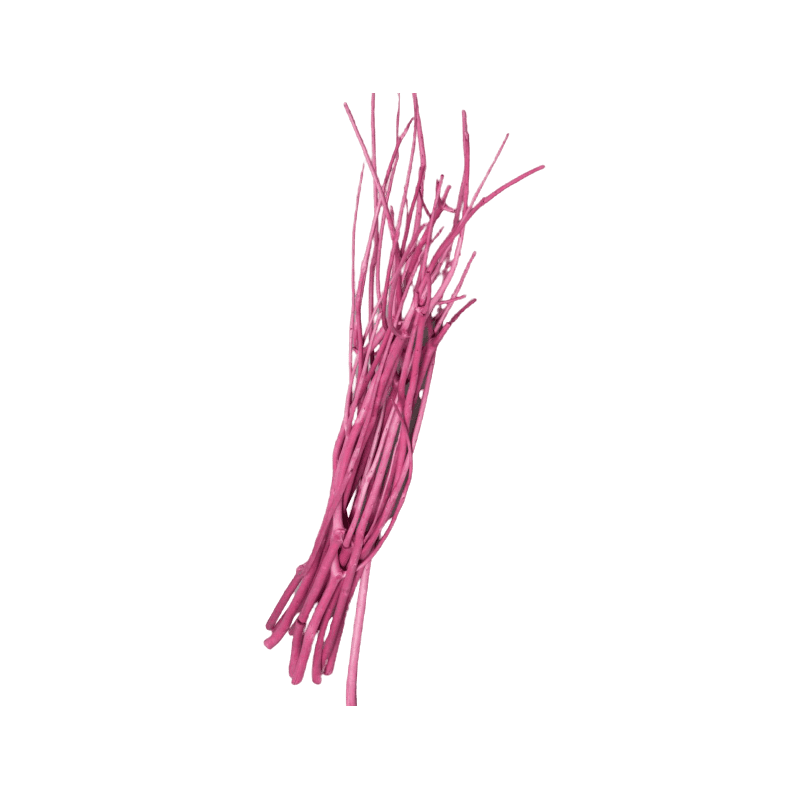Mitsumata 100/110 cm - Plusieurs couleurs - grossiste éléments secs