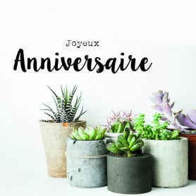 12 cartes de circonstance Joyeux anniversaire Maéssa - Grossiste fleuriste