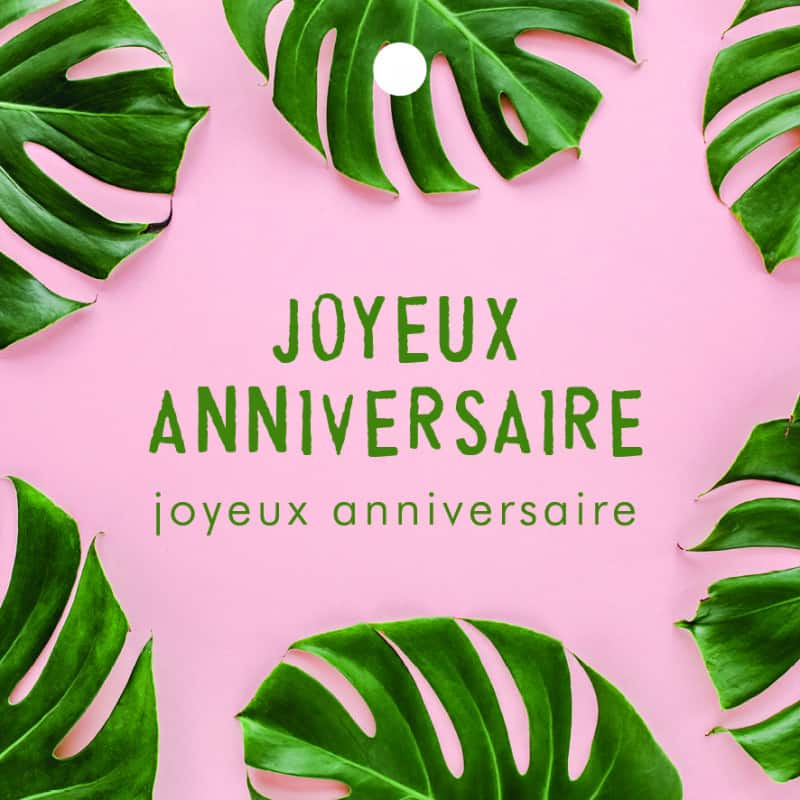 12 cartes de circonstance Joyeux anniversaire Mailou - Grossiste fleurs