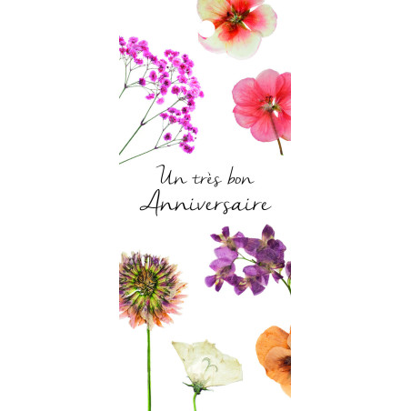 12 cartes de circonstance Un très bon anniversaire Maé - Grossiste pro