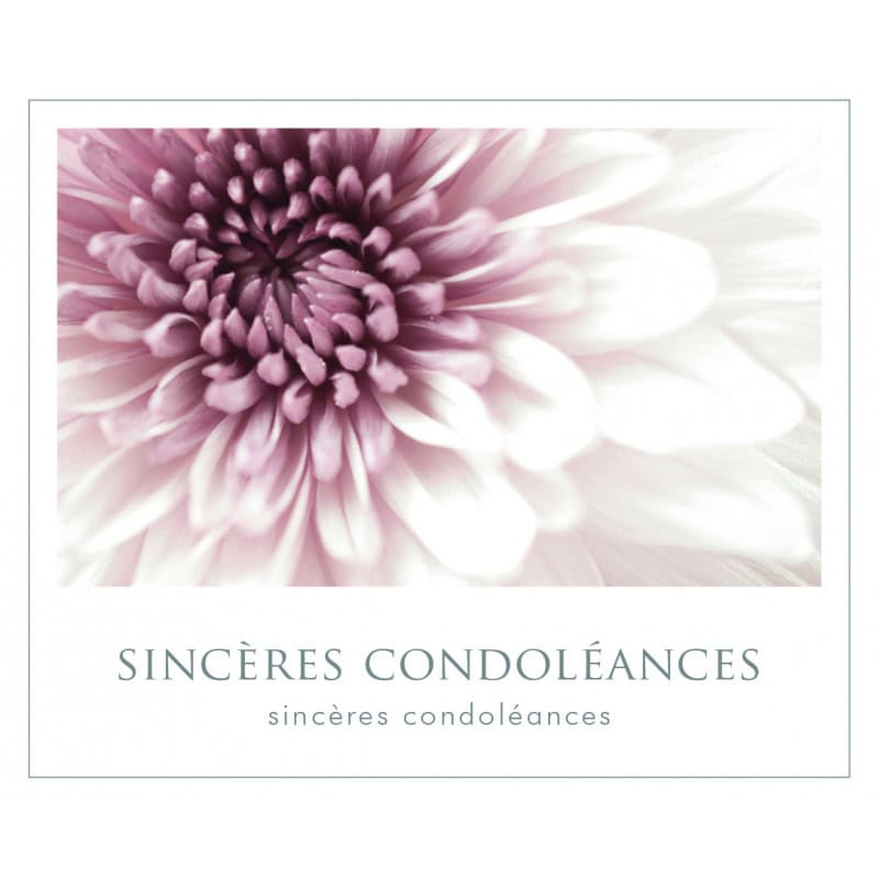 12 cartes de circonstance Sincères condoléances Mafy - Grossiste déco