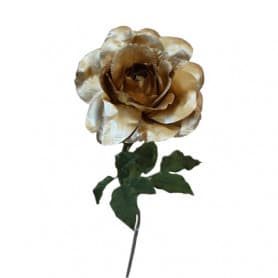 Rose or Juliette -...