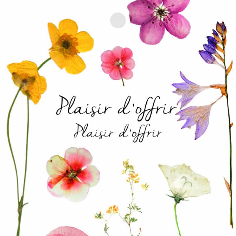 12 cartes de circonstance Plaisir d'offrir - Grossiste pour fleuriste