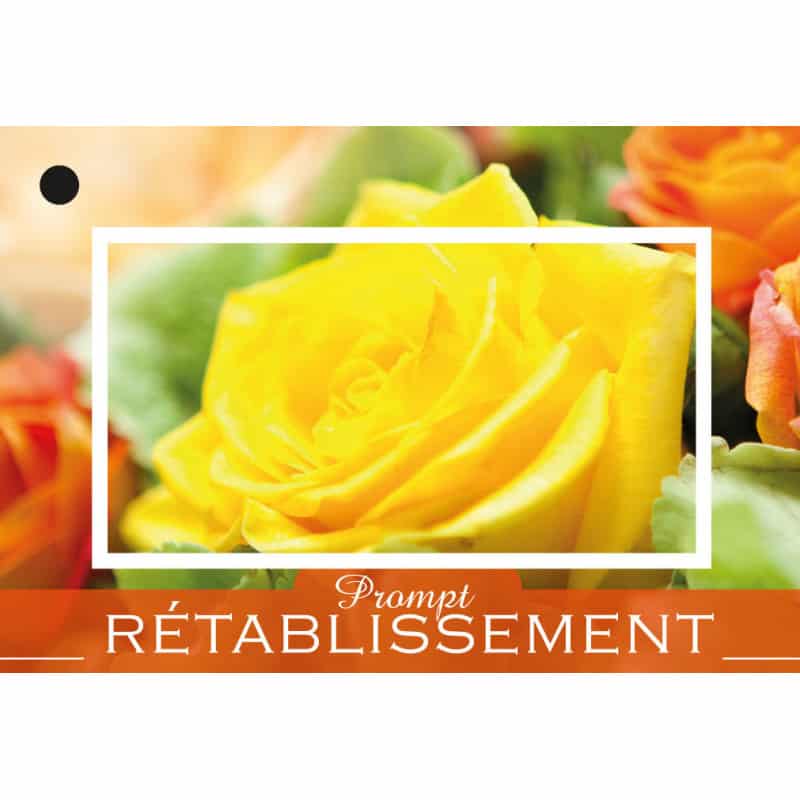 10 Cartes De Circonstance Prompt Retablissement Grossiste Fleuriste Deco 10 Cartes De Circonstance Prompt Retablissement Grossiste Fleuriste Deco