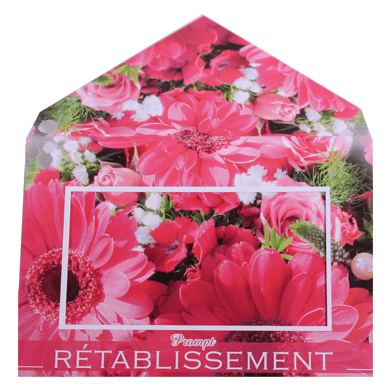 10 Cartes De Circonstance Prompt Retablissement Grossiste Fleurs Deco 10 Cartes De Circonstance Prompt Retablissement Grossiste Fleurs Deco
