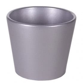 Pot Phalaeno basic Noel - contenant Noel