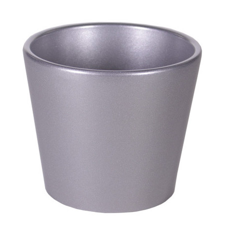 Pot Phalaeno basic Noel - contenant Noel