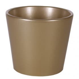 Pot Phalaeno basic Noel - contenant Noel