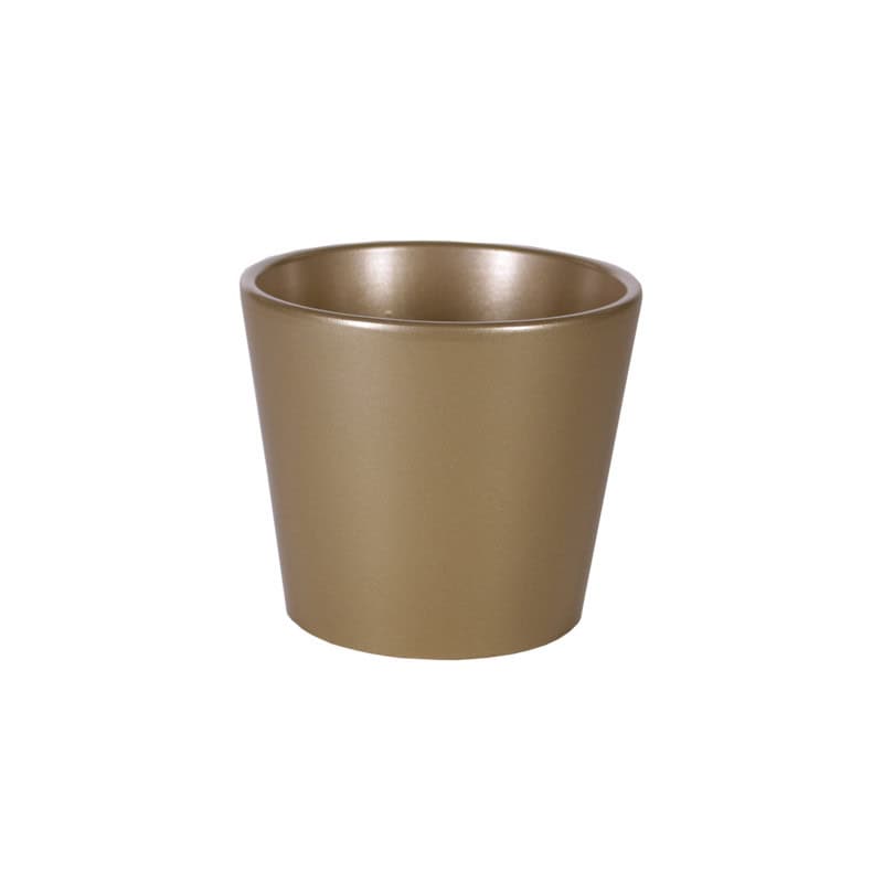 Pot Phalaeno basic Noel - contenant Noel Pot Phalaeno basic Noel - contenant Noel