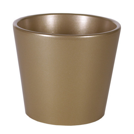 Pot Phalaeno basic Noel - contenant Noel