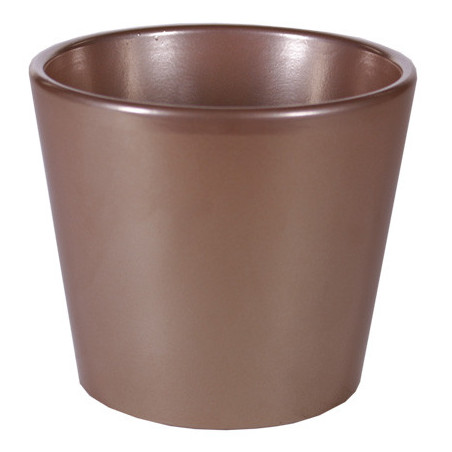 Pot Phalaeno basic Noel - contenant Noel