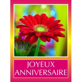 Étiquettes adhésives Joyeux anniversaire - Grossiste fleuriste décoration