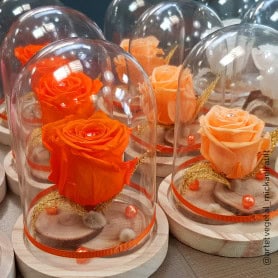 Cloche en verre sur son socle en bois Dôminae - materiel fleuriste