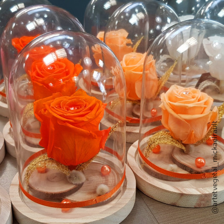 Cloche en verre sur son socle en bois Dôminae - materiel fleuriste