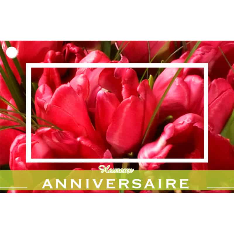 10 cartes de circonstance Anniversaire - Grossiste fleuriste décoration