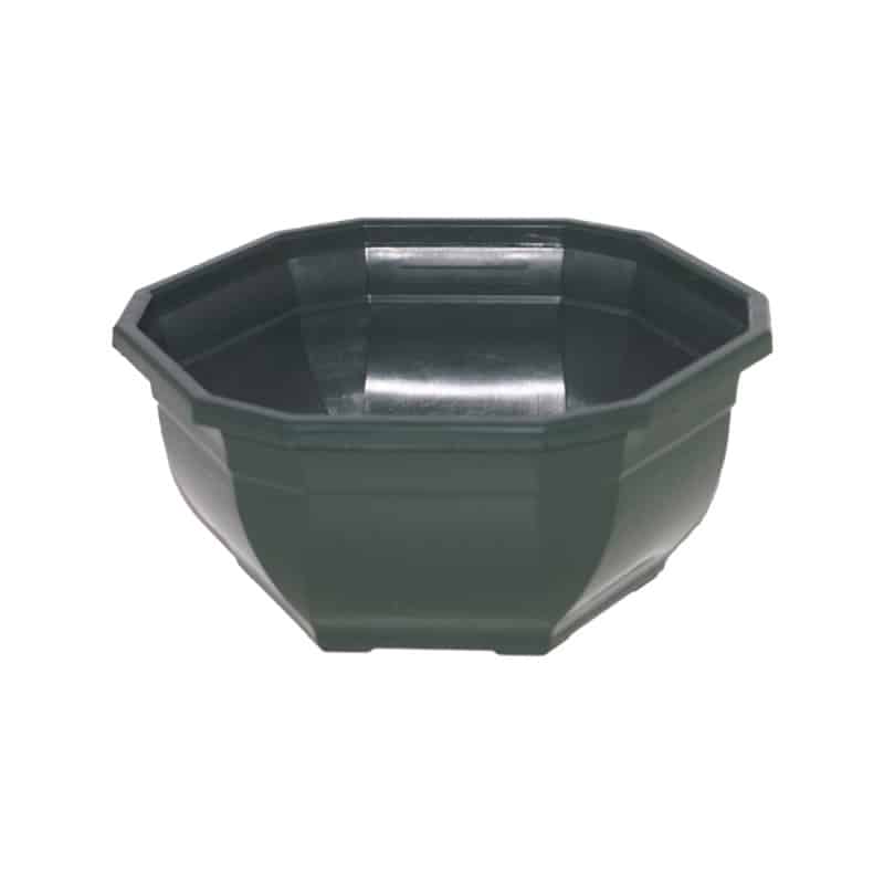 Coupe en plastique verte 3 tailles - Ocea
