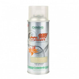 Spray paillettes Oasis Easy Color - Plusieurs couleurs - grossiste fleuriste