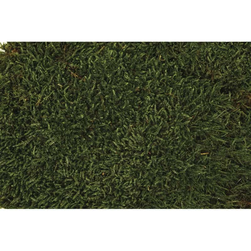Boîte mousse plate - Grossiste décoration mousse stabilisée fleuriste Boîte mousse plate - Grossiste décoration mousse stabilisée fleuriste
