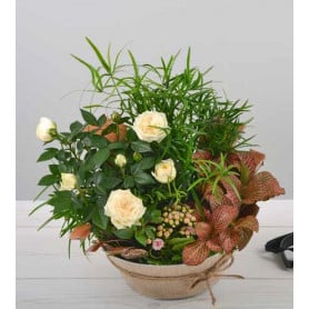 Coupe zinc corde tissus Dapoz - Plusieurs tailles - grossiste fleuriste