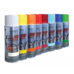 Spray paillettes Oasis Easy Color - Plusieurs couleurs - grossiste fleuriste