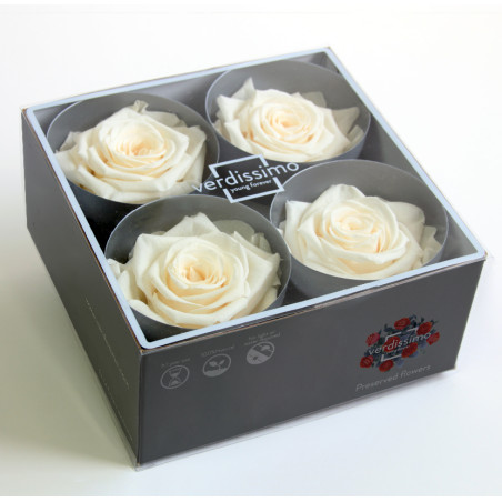 Tête de rose premium  