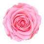 Boite de 4 Têtes de rose éternelle premium - Plusieurs coloris