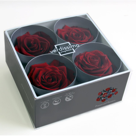 Tête de rose premium  