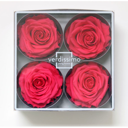 Tête de rose premium  