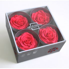 Tête de rose premium  
