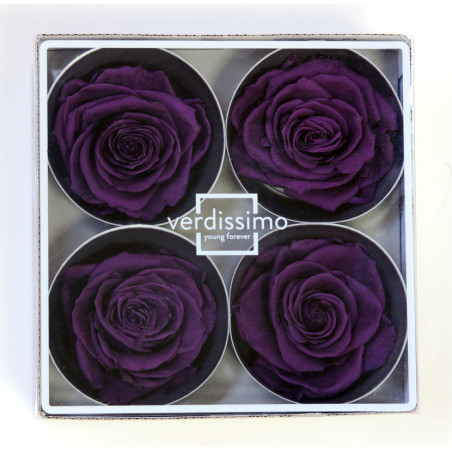 Tête de rose premium  