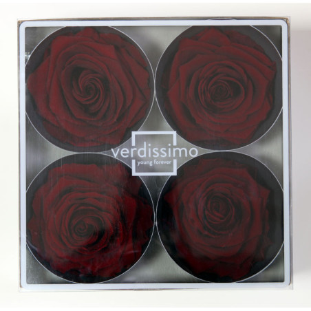 Tête de rose premium  
