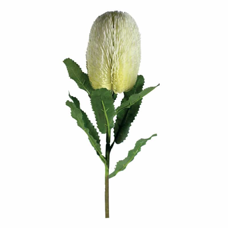 Banksia 65cm - Plusieurs couleurs - grossiste fleurs artificielles