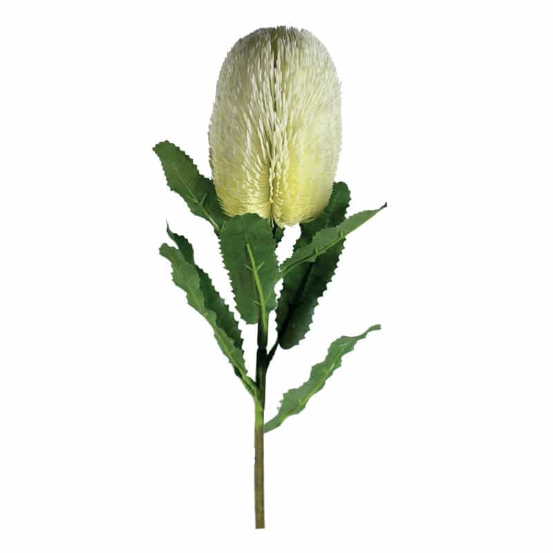 Banksia 65cm - Plusieurs couleurs - grossiste fleurs artificielles Banksia 65cm - Plusieurs couleurs - grossiste fleurs artificielles