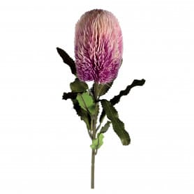 Banksia 65cm - Plusieurs couleurs - grossiste fleurs artificielles