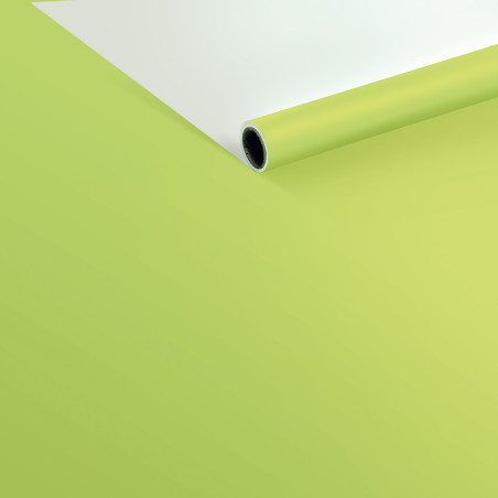 Papier nacré bicolore recto verso emballage composition florale