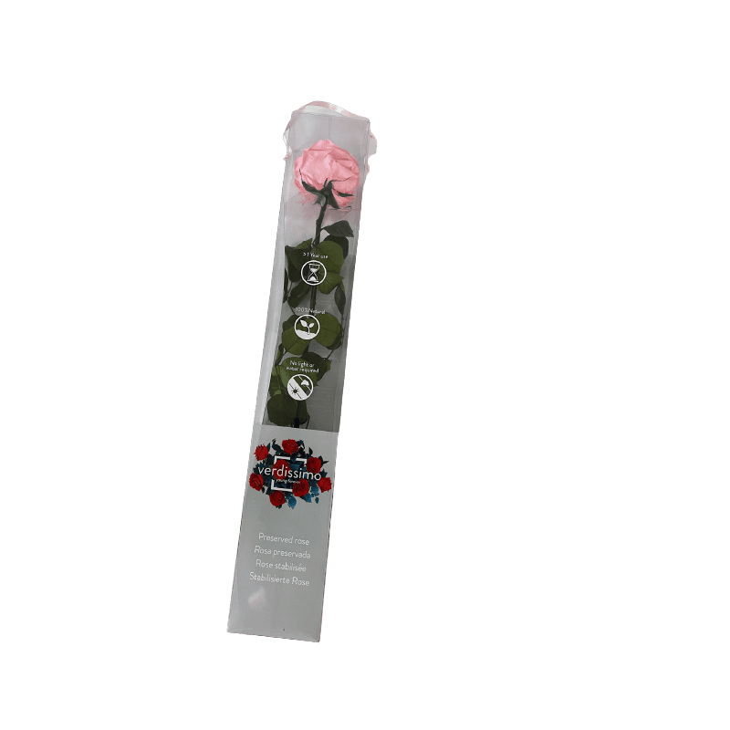 Rose éternelle tigée Premium et gift box plusieurs couleurs Rose éternelle tigée Premium et gift box plusieurs couleurs