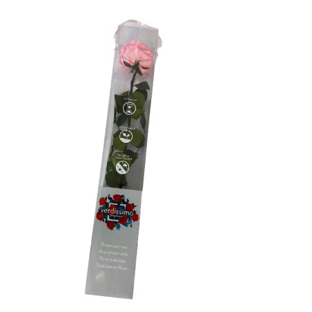 Rose éternelle tigée Premium et gift box plusieurs couleurs