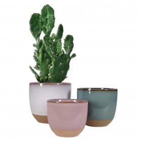 Pot rond Bicolore -...