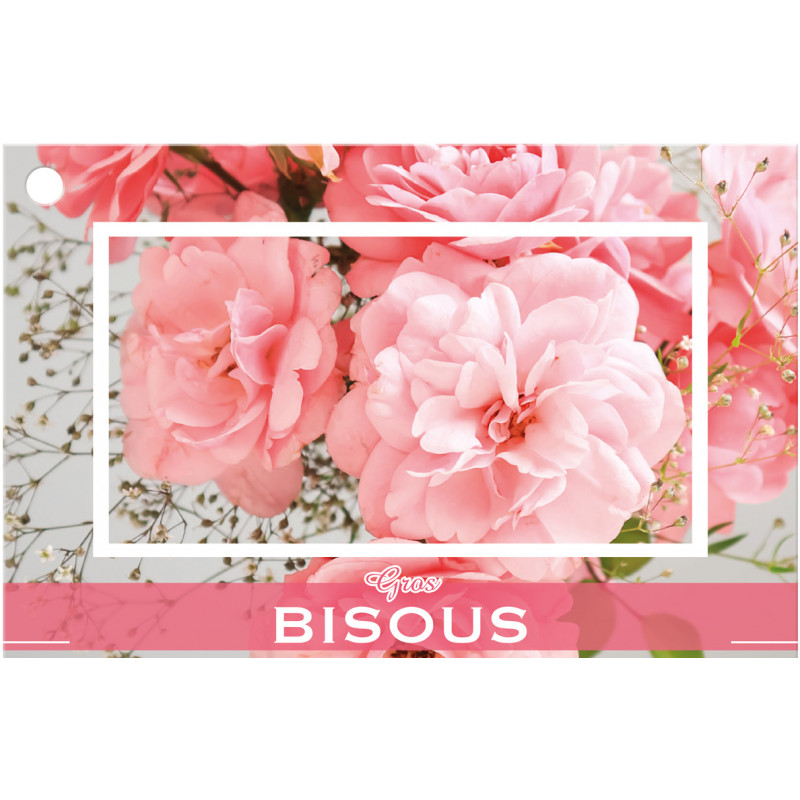 10 cartes de circonstance - Grossiste fleuriste pot de fleurs décoration