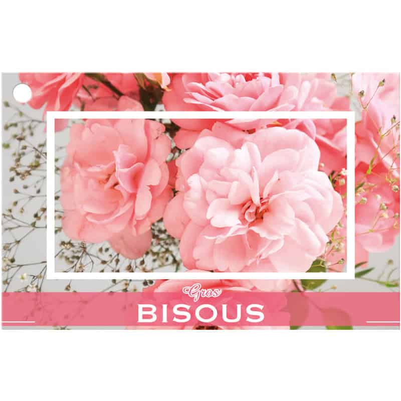 10 cartes de circonstance - Grossiste fleuriste pot de fleurs décoration 10 cartes de circonstance - Grossiste fleuriste pot de fleurs décoration