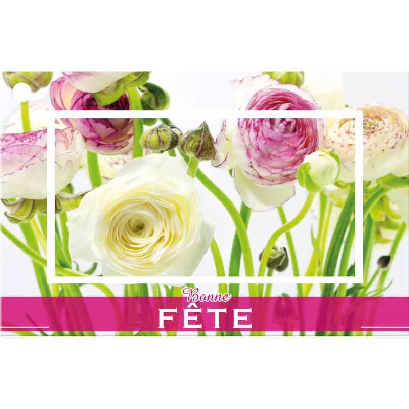 10 cartes de circonstance - Grossiste fleuriste décoration pot de fleur